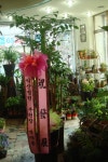 전라북도익산시 꽃배달, 전라북도익산시 꽃집, 전라북도 익산시 선화로13길 63 꽃집, (모현동1가) 꽃집, 전라북도 익산시 선화로13길 63 꽃배달... 