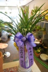 서울특별시서초구 꽃배달, 서울특별시서초구 꽃집, 서울특별시 서초구 동산로8길 50 꽃집, 365번지(양재동) 꽃집, 서울특별시 서초구 동산로8길... 