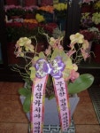제주특별자치도서귀포시 꽃배달, 제주특별자치도서귀포시 꽃집, 제주특별자치도 서귀포시 중앙로150번길 4-1 꽃집, (제주전지역배송)(동홍동)... 
