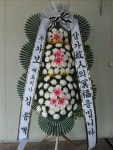 충청남도홍성군 꽃배달, 충청남도홍성군 꽃집, 충청남도 홍성군 홍성읍 월산로50번길 25 꽃집, 103호(청운빌딩) 꽃집, 충청남도 홍성군 홍성읍... 