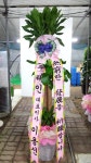 경기도화성시 꽃배달, 경기도화성시 꽃집, 경기도 화성시 봉담읍 삼천병마로 818 꽃집, 실내조경미가 꽃집, 경기도 화성시 봉담읍 삼천병마로 818... 