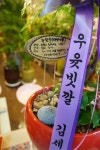 서울특별시서초구 꽃배달, 서울특별시서초구 꽃집, 서울특별시 서초구 동산로8길 50 꽃집, 365번지(양재동) 꽃집, 서울특별시 서초구 동산로8길... 