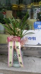 전라북도무주군 꽃배달, 전라북도무주군 꽃집, 전라북도 무주군 무주읍 주계로 94 꽃집, 꽃집, 전라북도 무주군 무주읍 주계로 94 꽃배달, 꽃배달... 