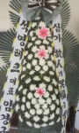 꽃집, 충청남도 논산시 연무읍 득안대로 684 꽃배달, 꽃배달 - 희망꽃식물원 플라워119꽃배달서비스 - 생일, 개업, 축하, 근조 꽃배달 전문... 