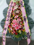 서울특별시노원구 꽃배달, 서울특별시노원구 꽃집, 서울특별시 노원구 중계로8길 20 꽃집, (중계동, 중계현대6차아파트) 102동 904호 꽃집... 