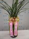 경상북도경주시 꽃배달, 경상북도경주시 꽃집, 경상북도 경주시 용담로 55 꽃집, (황성동) 꽃집, 경상북도 경주시 용담로 55 꽃배달, (황성동)... 