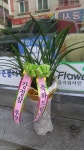 전라북도무주군 꽃배달, 전라북도무주군 꽃집, 전라북도 무주군 무주읍 주계로 94 꽃집, 꽃집, 전라북도 무주군 무주읍 주계로 94 꽃배달, 꽃배달... 