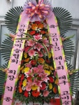 대구광역시달서구 꽃배달, 대구광역시달서구 꽃집, 대구광역시 달서구 월곡로94길 39 꽃집, (월성동) 꽃집, 대구광역시 달서구 월곡로94길 39... 
