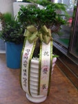 대전광역시서구 꽃배달, 대전광역시서구 꽃집, 대전광역시 서구 만년로22번길 16 꽃집, (1층)(만년동) 꽃집, 대전광역시 서구 만년로22번길 16... 