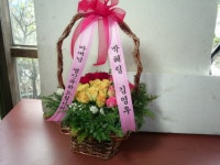 대구광역시달서구 꽃배달, 대구광역시달서구 꽃집, 대구광역시 달서구 월곡로94길 39 꽃집, (월성동) 꽃집, 대구광역시 달서구 월곡로94길 39... 
