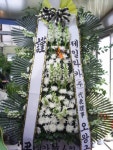 대구광역시달서구 꽃배달, 대구광역시달서구 꽃집, 대구광역시 달서구 월곡로94길 39 꽃집, (월성동) 꽃집, 대구광역시 달서구 월곡로94길 39... 