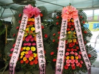 광주광역시광산구 꽃배달, 광주광역시광산구 꽃집, 광주 광산구 신가동 꽃집, 233-3번지 007플라워 꽃집, 광주 광산구 신가동 꽃배달, 233-3번지... 