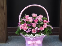 전라북도익산시 꽃배달, 전라북도익산시 꽃집, 전라북도 익산시 선화로13길 63 꽃집, (모현동1가) 꽃집, 전라북도 익산시 선화로13길 63 꽃배달... 