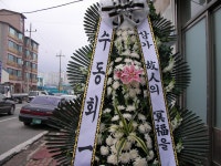 충청남도보령시 꽃배달, 충청남도보령시 꽃집, 충청남도 보령시 신평로 35 꽃집, (동대동) 꽃집, 충청남도 보령시 신평로 35 꽃배달, (동대동)... 