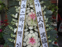 전라북도익산시 꽃배달, 전라북도익산시 꽃집, 전라북도 익산시 선화로13길 63 꽃집, (모현동1가) 꽃집, 전라북도 익산시 선화로13길 63 꽃배달... 