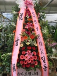 경상북도경산시 꽃배달, 경상북도경산시 꽃집, 경상북도 경산시 하양읍 대학로298길 10 꽃집, 대경화원 꽃집, 경상북도 경산시 하양읍... 