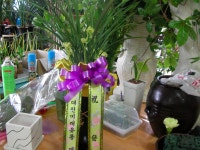 충청남도보령시 꽃배달, 충청남도보령시 꽃집, 충청남도 보령시 신평로 35 꽃집, (동대동) 꽃집, 충청남도 보령시 신평로 35 꽃배달, (동대동)... 