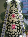 충청남도부여군 꽃배달, 충청남도부여군 꽃집, 충청남도 부여군 부여읍 삼충로 201-2 꽃집, 꽃집, 충청남도 부여군 부여읍 삼충로 201-2 꽃배달... 