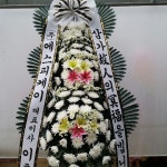 경기도화성시 꽃배달, 경기도화성시 꽃집, 경기도 화성시 봉담읍 삼천병마로 818 꽃집, 실내조경미가 꽃집, 경기도 화성시 봉담읍 삼천병마로 818... 