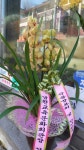 전라북도무주군 꽃배달, 전라북도무주군 꽃집, 전라북도 무주군 무주읍 주계로 94 꽃집, 꽃집, 전라북도 무주군 무주읍 주계로 94 꽃배달, 꽃배달... 