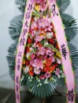 서울특별시노원구 꽃배달, 서울특별시노원구 꽃집, 서울특별시 노원구 중계로8길 20 꽃집, (중계동, 중계현대6차아파트) 102동 904호 꽃집... 