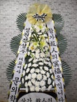 해남읍 교육청길 45-3 꽃집, 해남 민들레꽃방 꽃집, 전라남도 해남군 해남읍 교육청길 45-3 꽃배달, 해남 민들레꽃방 꽃배달 - 민들레꽃방... 
