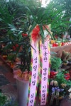 전라북도익산시 꽃배달, 전라북도익산시 꽃집, 전라북도 익산시 선화로13길 63 꽃집, (모현동1가) 꽃집, 전라북도 익산시 선화로13길 63 꽃배달... 