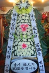 전라북도익산시 꽃배달, 전라북도익산시 꽃집, 전라북도 익산시 선화로13길 63 꽃집, (모현동1가) 꽃집, 전라북도 익산시 선화로13길 63 꽃배달... 