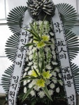 꽃집, (월성동) 꽃집, 대구광역시 달서구 월곡로94길 39 꽃배달, (월성동) 꽃배달 - 대구한국플라워 플라워119꽃배달서비스 - 생일, 개업, 축하... 