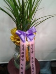 강원도춘천시 꽃배달, 강원도춘천시 꽃집, 강원도 춘천시 충열로 10-3 꽃집, (우두동) 꽃집, 강원도 춘천시 충열로 10-3 꽃배달, (우두동) 꽃배달... 