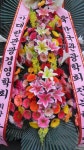 전라북도무주군 꽃배달, 전라북도무주군 꽃집, 전라북도 무주군 무주읍 주계로 94 꽃집, 꽃집, 전라북도 무주군 무주읍 주계로 94 꽃배달, 꽃배달... 