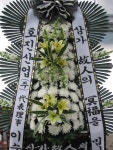대구광역시달서구 꽃배달, 대구광역시달서구 꽃집, 대구광역시 달서구 월곡로94길 39 꽃집, (월성동) 꽃집, 대구광역시 달서구 월곡로94길 39... 