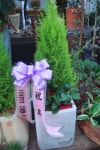 전라북도익산시 꽃배달, 전라북도익산시 꽃집, 전라북도 익산시 선화로13길 63 꽃집, (모현동1가) 꽃집, 전라북도 익산시 선화로13길 63 꽃배달... 
