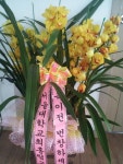 경기도화성시 꽃배달, 경기도화성시 꽃집, 경기도 화성시 봉담읍 삼천병마로 818 꽃집, 실내조경미가 꽃집, 경기도 화성시 봉담읍 삼천병마로 818... 