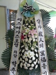 꽃집, 교육청길 45-3 꽃집, 전라남도 해남군 해남읍 읍사무소길 17 꽃배달, 교육청길 45-3 꽃배달 - 민들레꽃방 플라워119꽃배달서비스 - 생일, 개업... 
