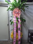 경기도평택시 꽃배달, 경기도평택시 꽃집, 경기도 평택시 안중읍 안현로서9길 181 꽃집, 꽃집, 경기도 평택시 안중읍 안현로서9길 181 꽃배달... 