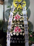 안계면 안계시장길 53-5 꽃집, 꽃집, 경상북도 의성군 안계면... 화분관엽, 난, 동양란, 서양란, 화환, 근조화환, 축하화환, 쥬얼리, 케잌, 샴페인... 