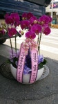 경상남도김해시 꽃배달, 경상남도김해시 꽃집, 경상남도 김해시 진영읍 여래로 27 꽃집, 꽃집, 경상남도 김해시 진영읍 여래로 27 꽃배달, 꽃배달... 