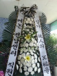 꽃집, 교육청길 45-3 꽃집, 전라남도 해남군 해남읍 읍사무소길 17 꽃배달, 교육청길 45-3 꽃배달 - 민들레꽃방 플라워119꽃배달서비스 - 생일, 개업... 