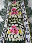 제주특별자치도서귀포시 꽃배달, 제주특별자치도서귀포시 꽃집, 제주특별자치도 서귀포시 일주동로 8718 꽃집, (서홍동) 꽃집, 제주특별자치도... 