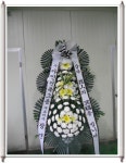 경기도평택시 꽃배달, 경기도평택시 꽃집, 경기도 평택시 안중읍 안현로서9길 181 꽃집, 꽃집, 경기도 평택시 안중읍 안현로서9길 181 꽃배달... 
