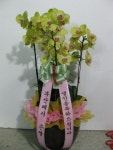 대구광역시달서구 꽃배달, 대구광역시달서구 꽃집, 대구광역시 달서구 월곡로94길 39 꽃집, (월성동) 꽃집, 대구광역시 달서구 월곡로94길 39... 
