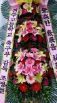 제주특별자치도서귀포시 꽃배달, 제주특별자치도서귀포시 꽃집, 제주특별자치도 서귀포시 일주동로 8718 꽃집, (서홍동) 꽃집, 제주특별자치도... 