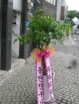 전라북도무주군 꽃배달, 전라북도무주군 꽃집, 전라북도 무주군 무주읍 주계로 94 꽃집, 꽃집, 전라북도 무주군 무주읍 주계로 94 꽃배달, 꽃배달... 