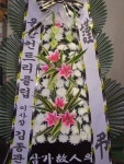 안계면 안계시장길 53-5 꽃집, 꽃집, 경상북도 의성군 안계면... 화분관엽, 난, 동양란, 서양란, 화환, 근조화환, 축하화환, 쥬얼리, 케잌, 샴페인... 