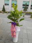 경기도수원시 팔달구 꽃배달, 경기도수원시 팔달구 꽃집, 경기도 수원시 팔달구 동말로26번길 9-12 꽃집, (화서동) 꽃집, 경기도 수원시 팔달구... 