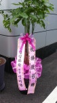 경상남도김해시 꽃배달, 경상남도김해시 꽃집, 경상남도 김해시 진영읍 여래로 27 꽃집, 꽃집, 경상남도 김해시 진영읍 여래로 27 꽃배달, 꽃배달... 
