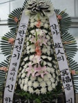 꽃집, (월성동) 꽃집, 대구광역시 달서구 월곡로94길 39 꽃배달, (월성동) 꽃배달 - 대구한국플라워 플라워119꽃배달서비스 - 생일, 개업, 축하... 