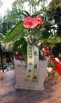 전라북도익산시 꽃배달, 전라북도익산시 꽃집, 전라북도 익산시 선화로13길 63 꽃집, (모현동1가) 꽃집, 전라북도 익산시 선화로13길 63 꽃배달... 
