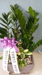 경기도화성시 꽃배달, 경기도화성시 꽃집, 경기도 화성시 봉담읍 삼천병마로 818 꽃집, 실내조경미가 꽃집, 경기도 화성시 봉담읍 삼천병마로 818... 